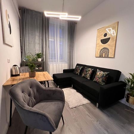 Musai Apartment Braşov Eksteriør bilde